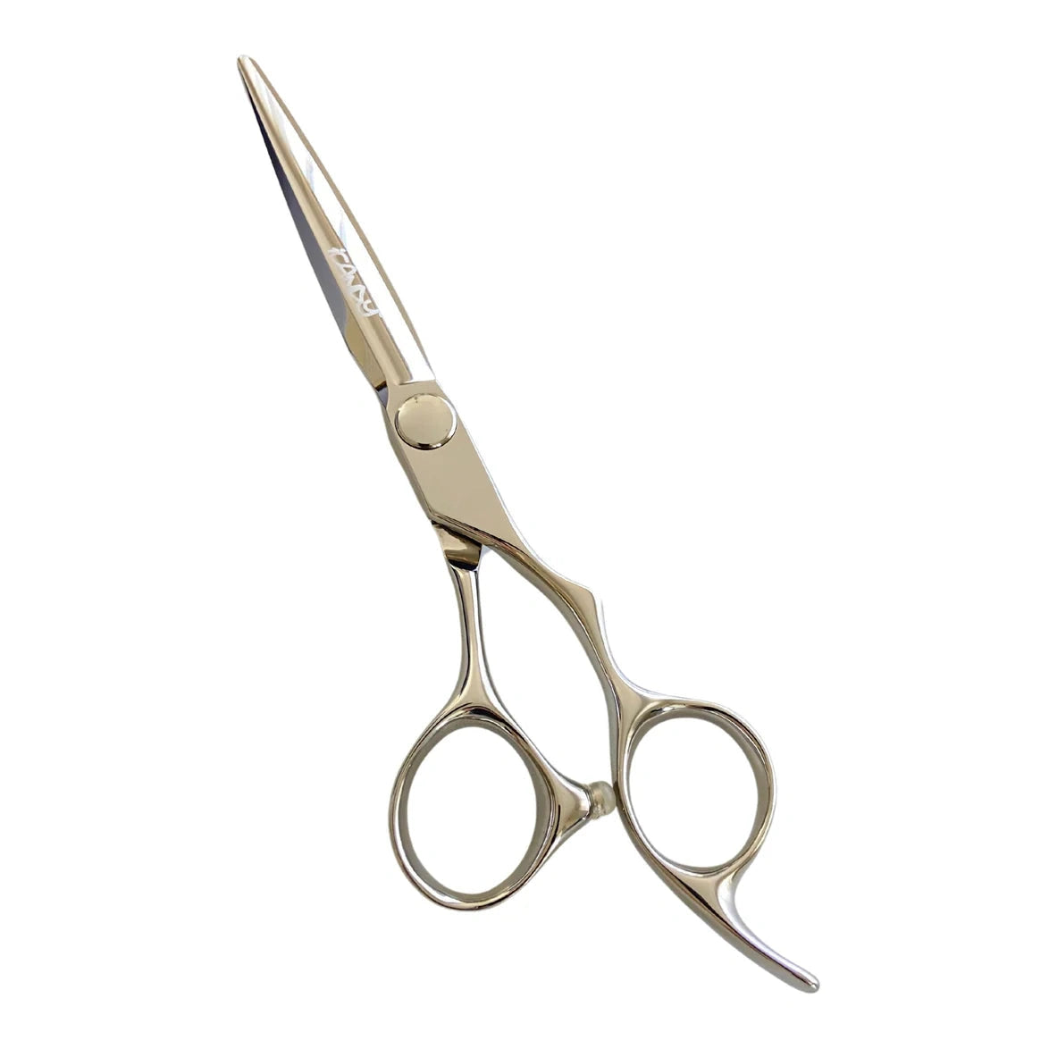 iCandy ELECTRO Silver VG10 Scissor & Thinner Bundle