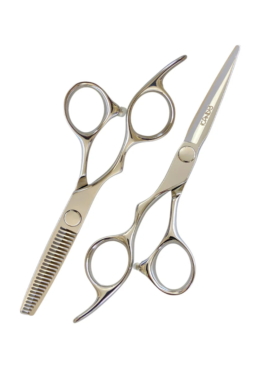 iCandy ELECTRO Silver VG10 Scissor & Thinner LEFT HANDED Bundle (6.0/5.5 inch) Limited Edition!